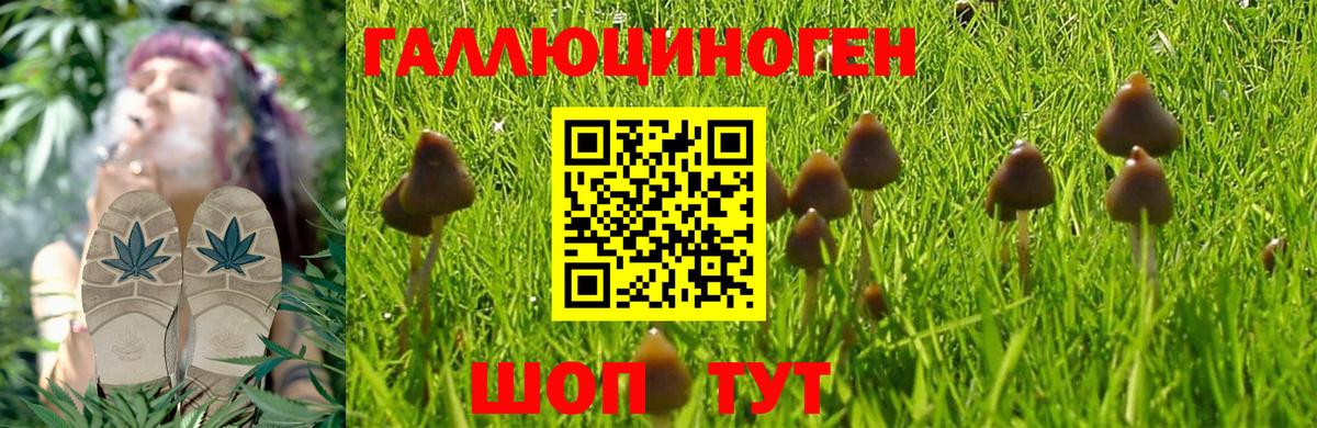 Псилоцибиновые грибы Psilocybine cubensis  цены наркотик  Вичуга  Галлюциногенные грибы Psilocybe 